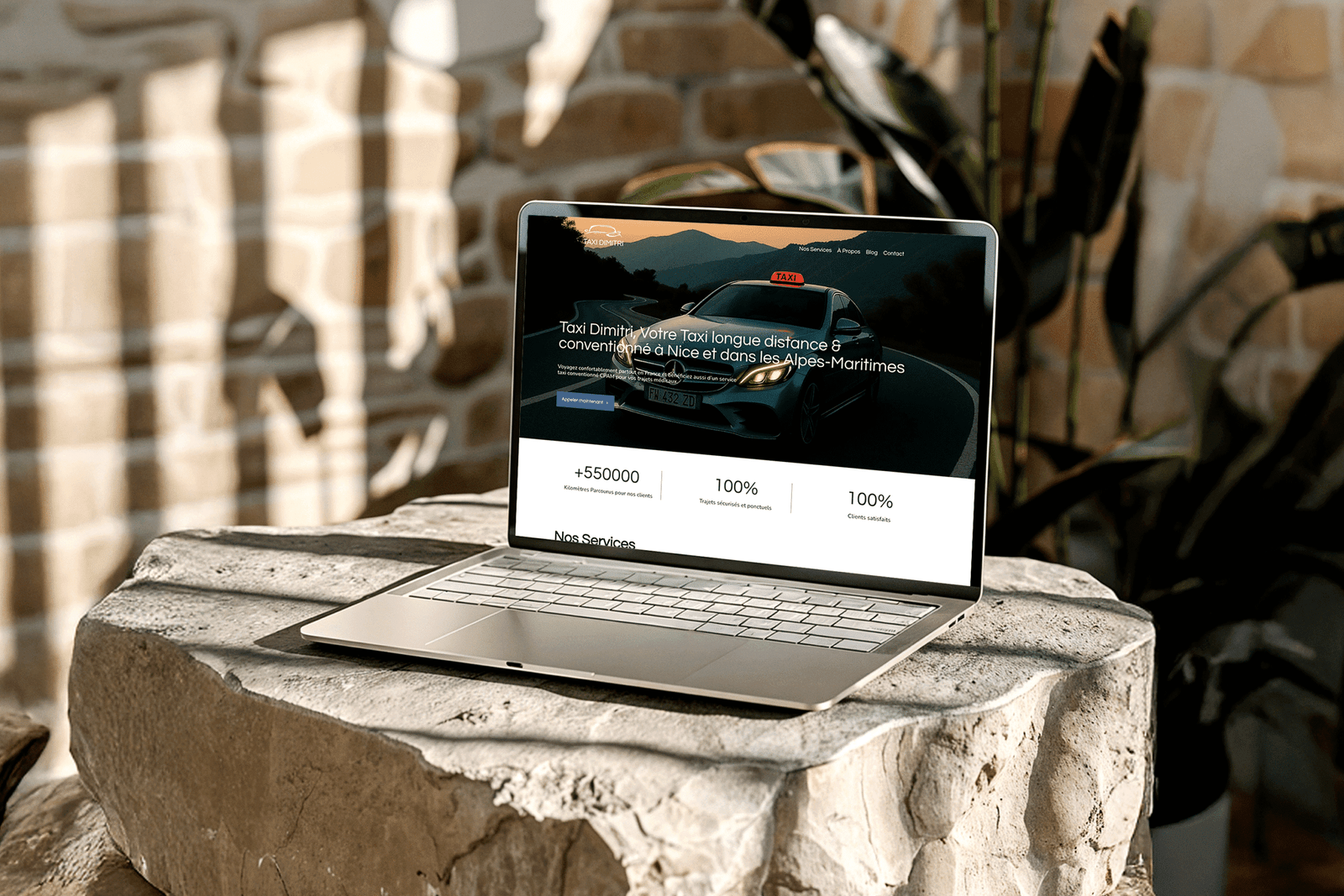 Brand Identity & Website — Taxi Dimitri